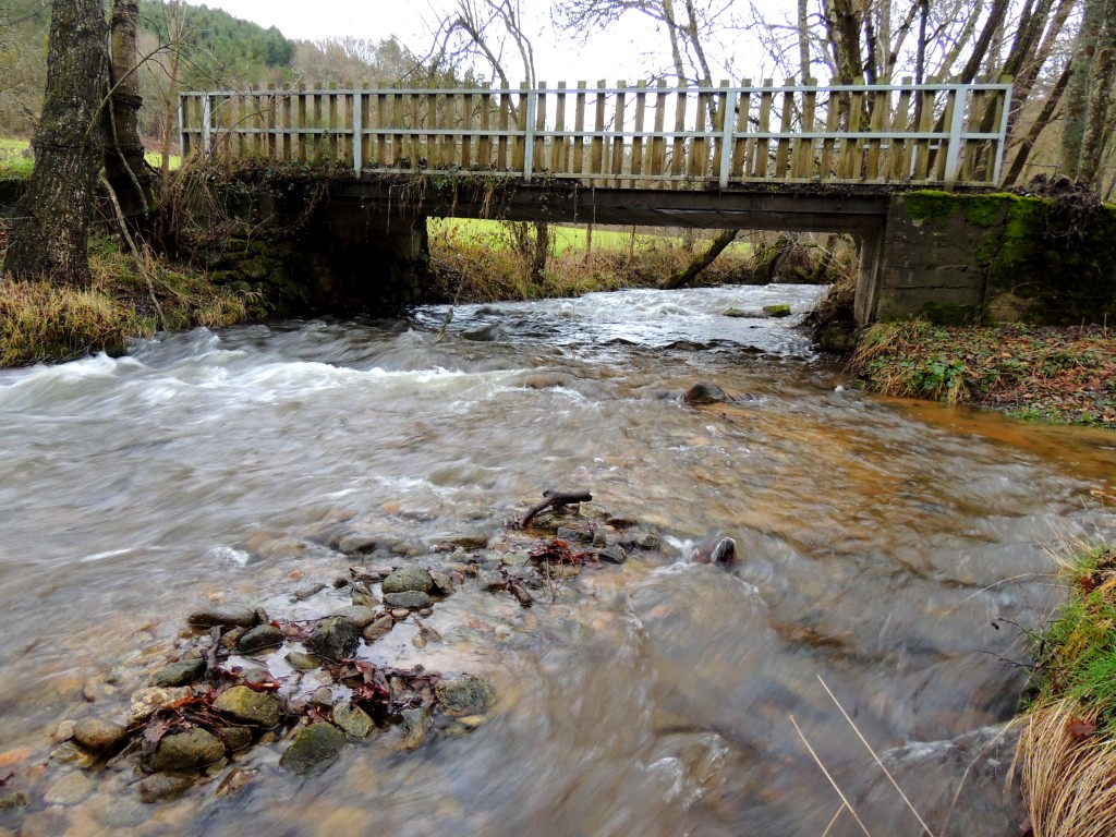 Valz-sous-Châteauneuf 13