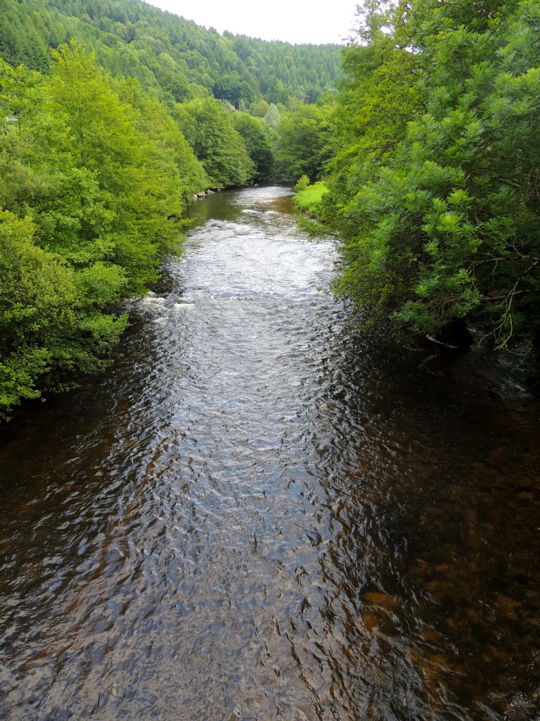 Saint-Gervais-sous-Meymont 14