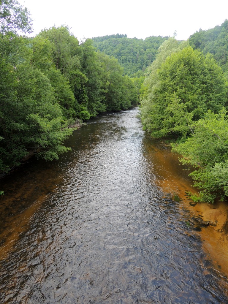 Saint-Gervais-sous-Meymont 15