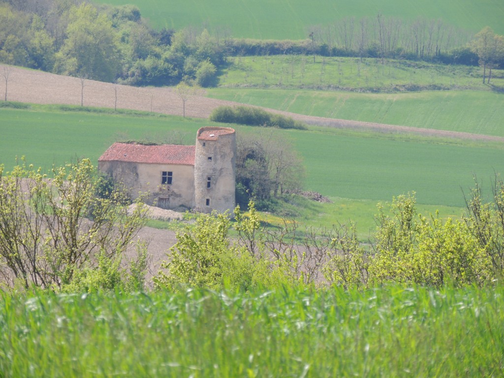 Saint-Martin-des-Plains 2