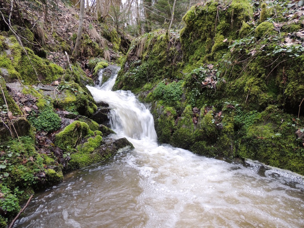 La Chapelle sur Usson 12