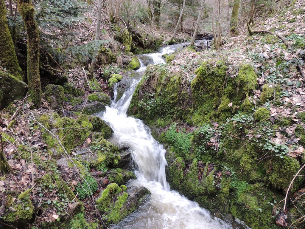 La Chapelle sur Usson 15