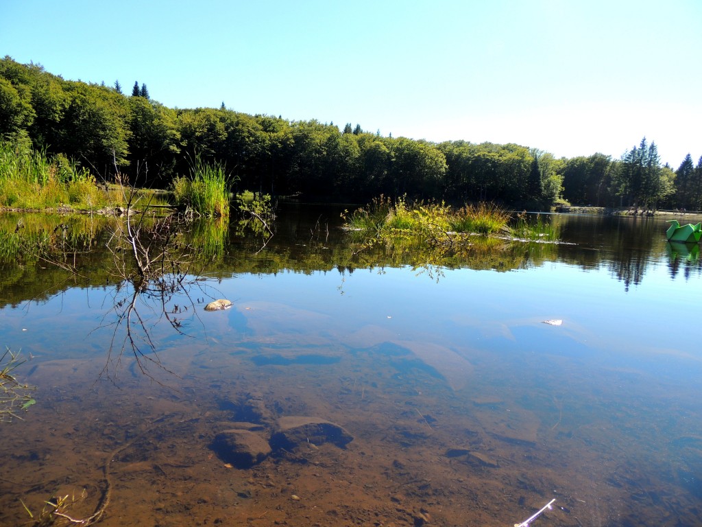 Picherande 10 Lac de Gayme