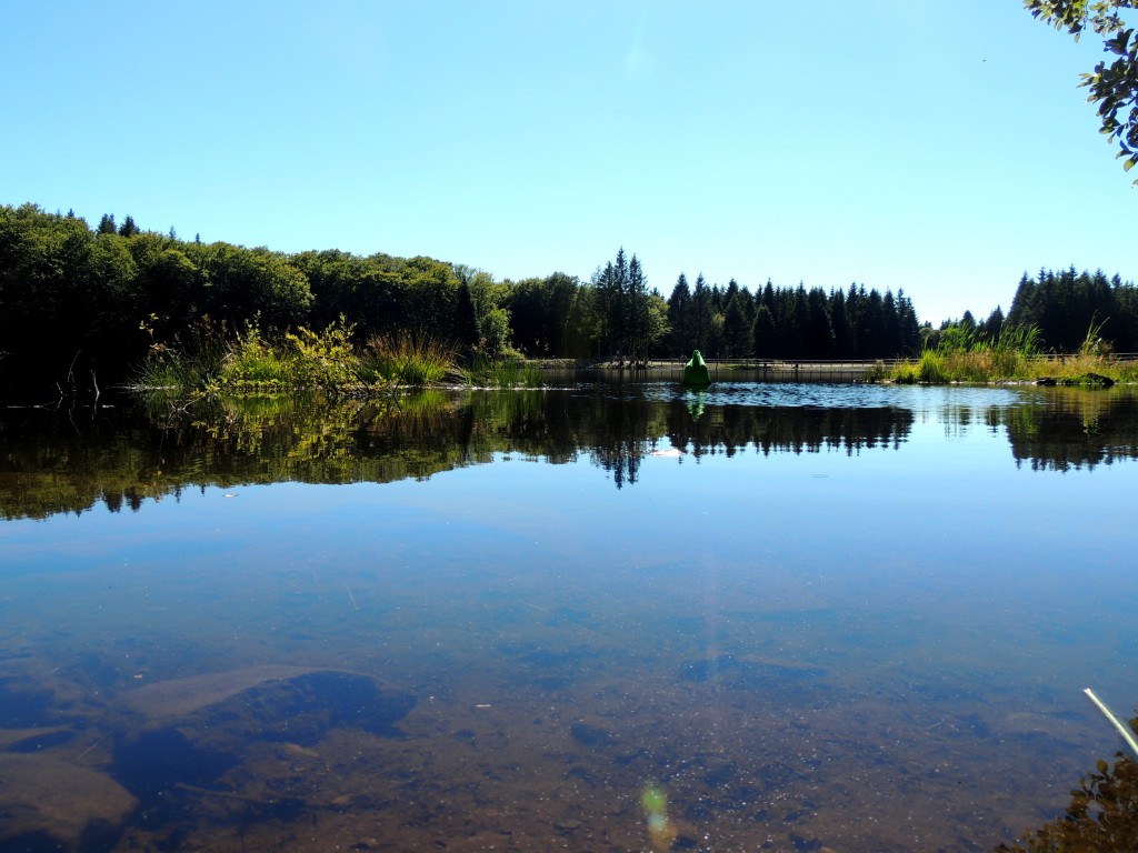 Picherande 11 Lac de Gayme