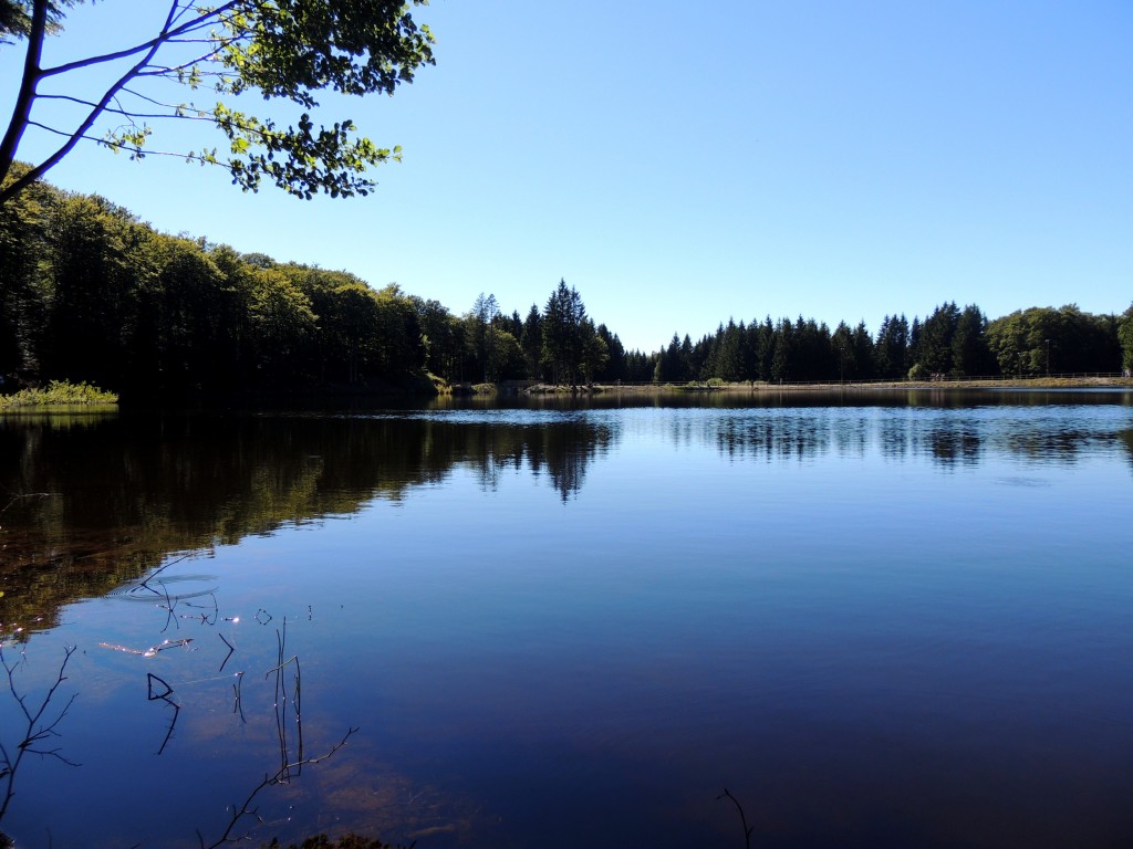 Picherande 13 Lac de Gayme