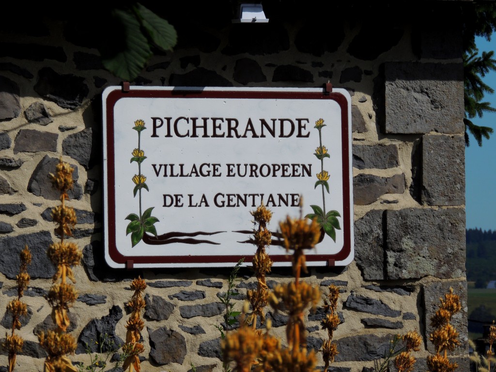 Picherande 19