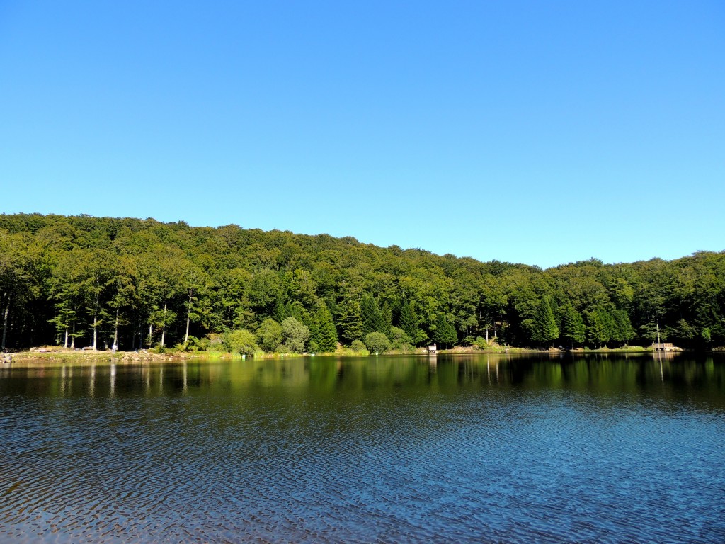 Picherande 5 Lac de Gayme