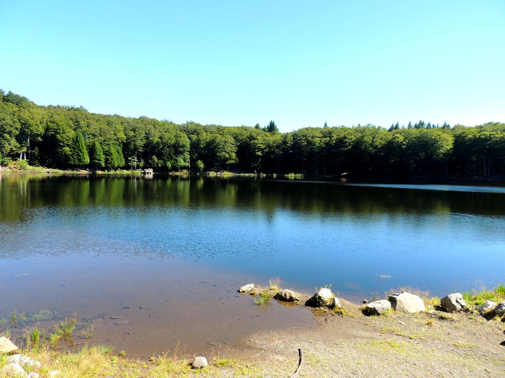 Picherande 6 Lac de Gayme
