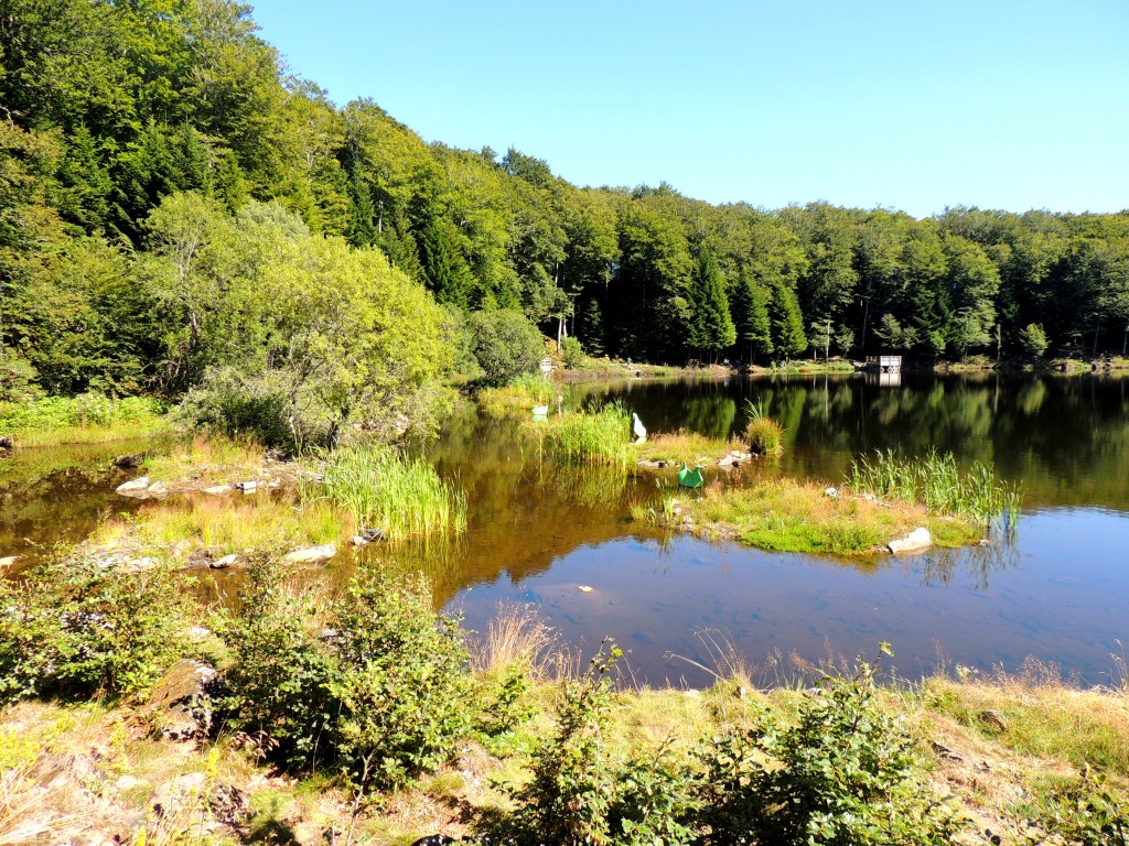 Picherande 7 Lac de Gayme