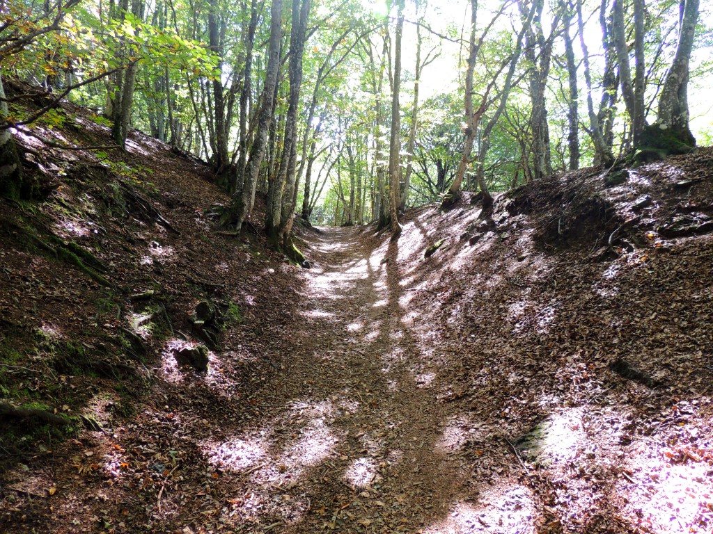 Puy-de-Dôme 16