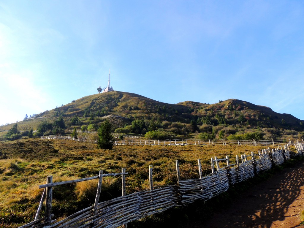 Puy-de-Dôme 17