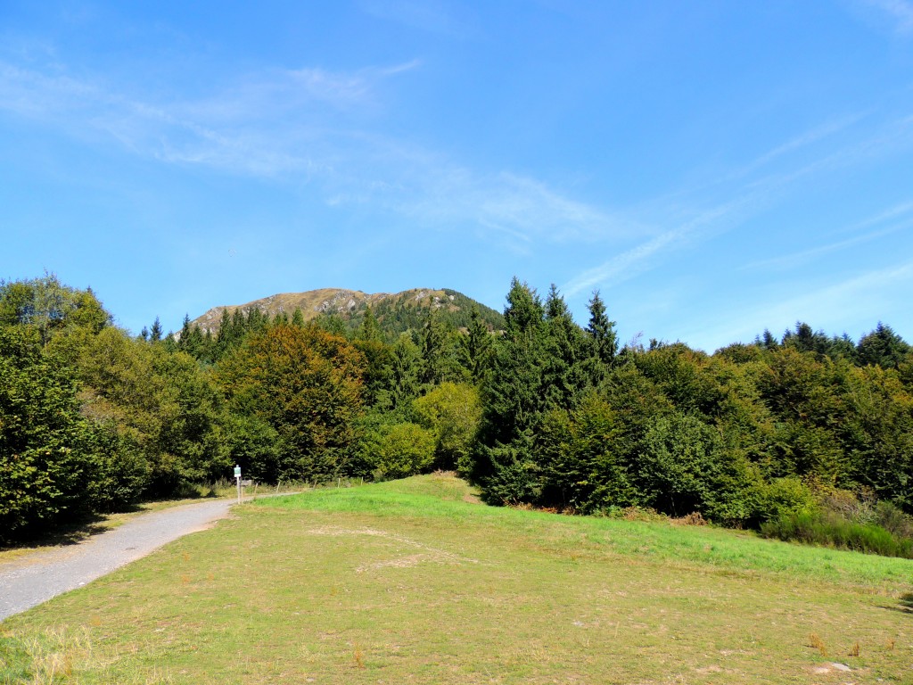 Puy-de-Dôme 25