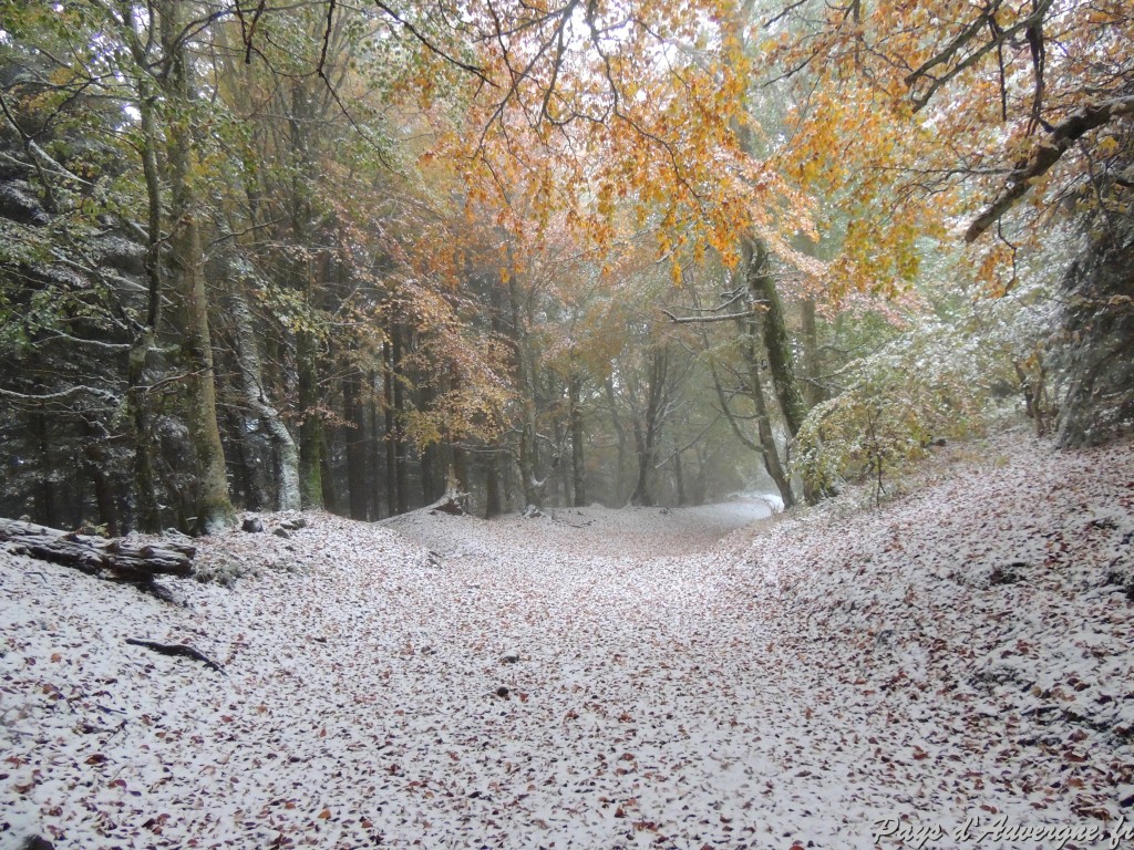 Puy-de-Dôme Chemin des muletiers 15-10 2