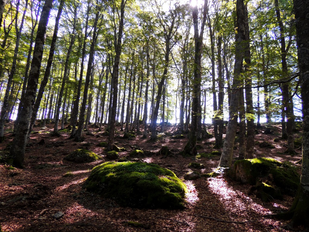 Vallée de la Fontaine Salée 21