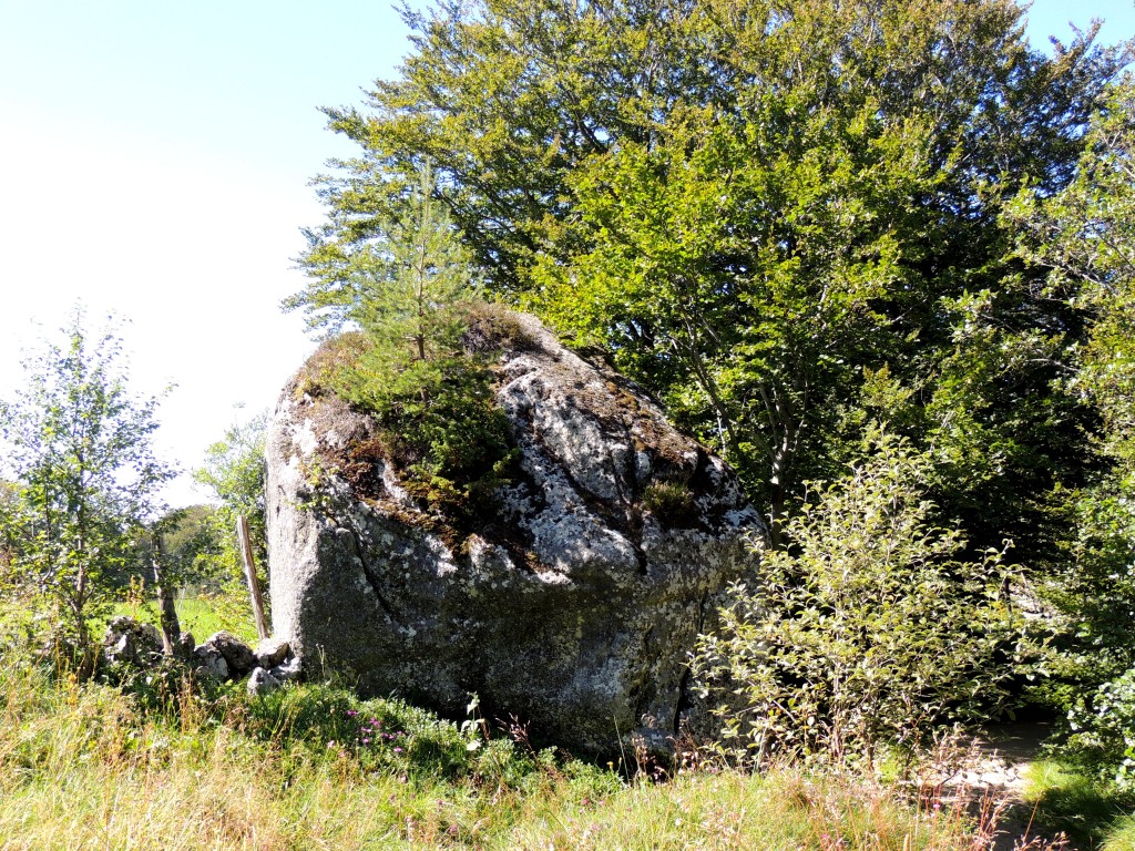 Vallée de la Fontaine Salée 24