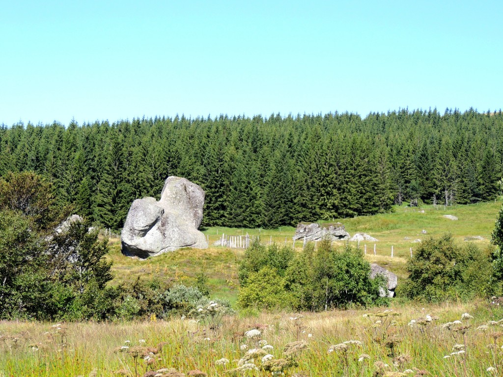 Vallée de la Fontaine Salée 25