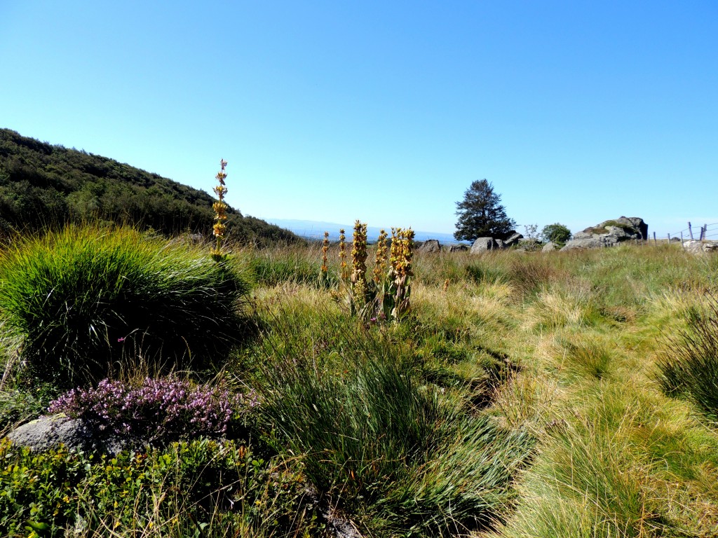 Vallée de la Fontaine Salée 14