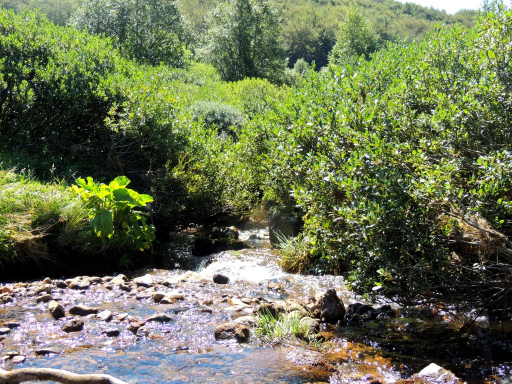 Vallée de la Fontaine Salée 13