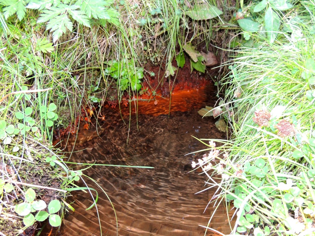 Vallée de la Fontaine Salée 4