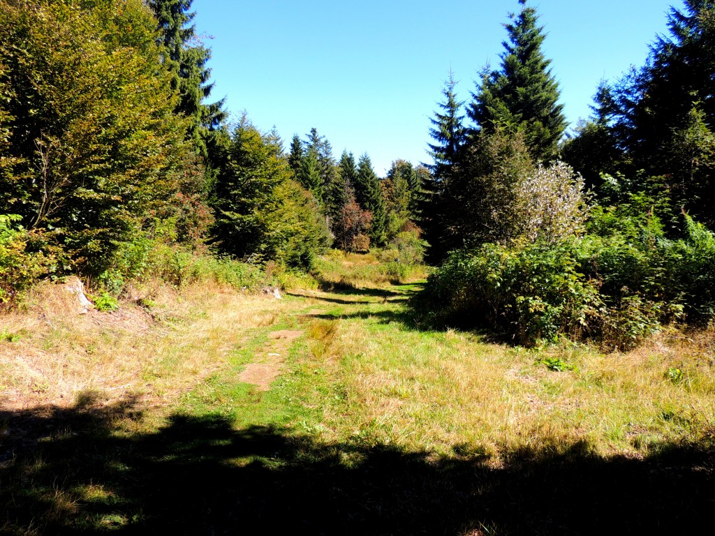 Le Puy de Montchal 4