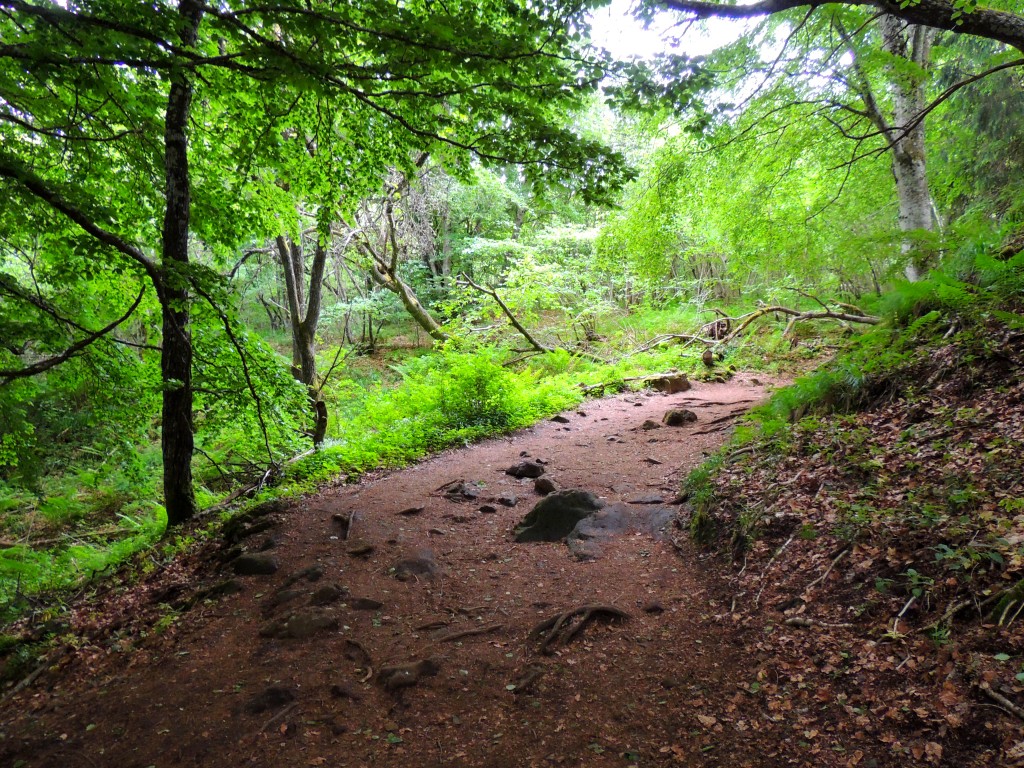 Puy de Pariou 8