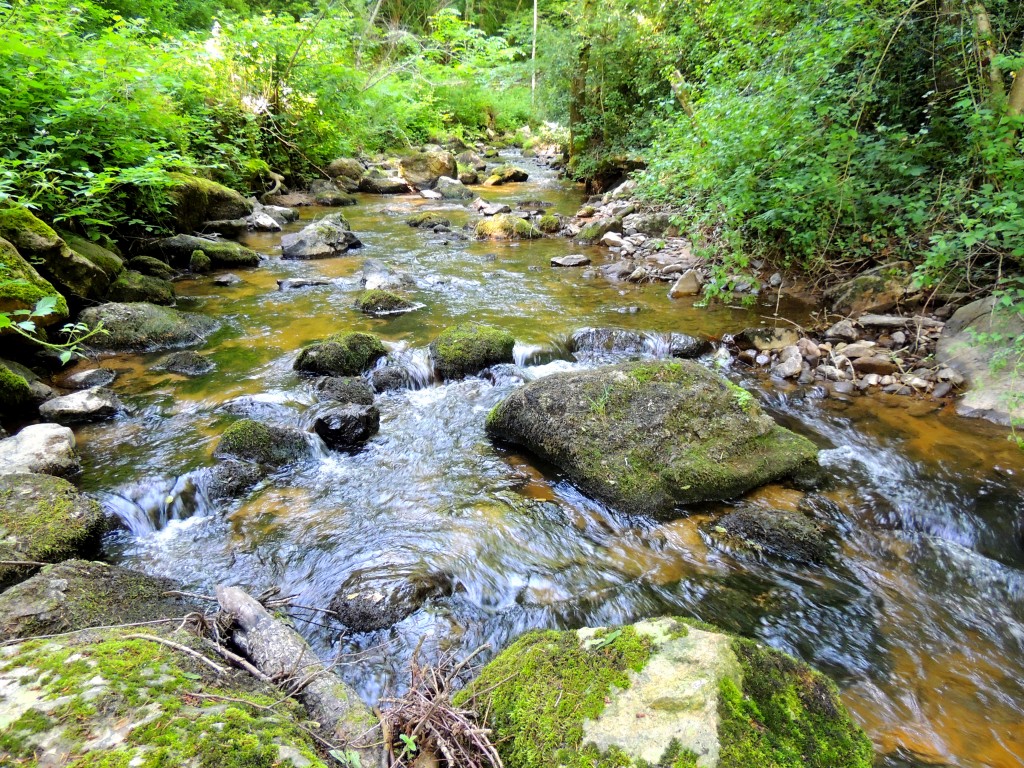 Saint-Jean-Saint-Gervais 20