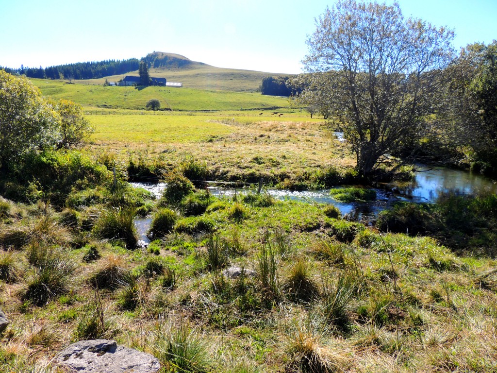 Besse-et-Saint-Anastaise 14