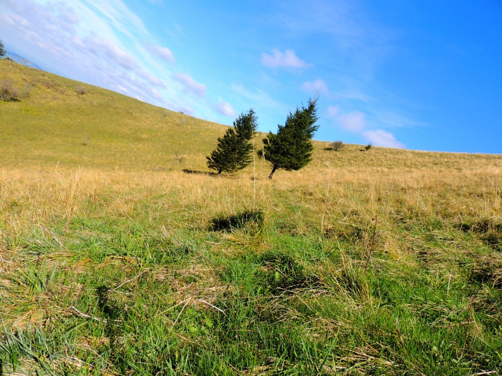 Puy de Côme 10