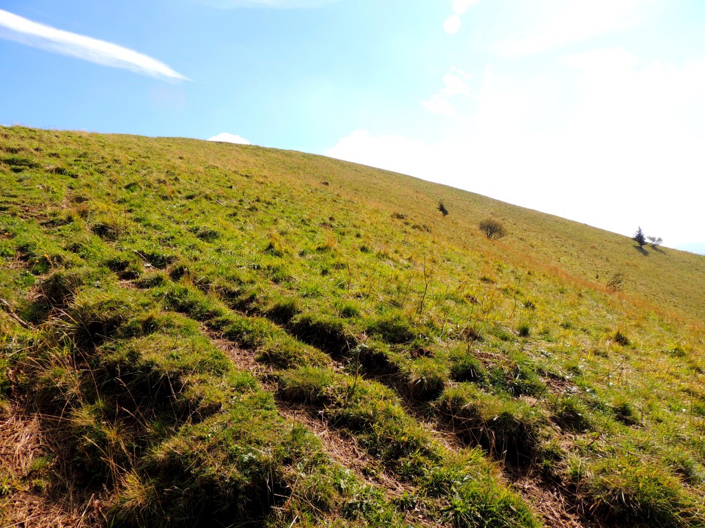 Puy de Côme 18