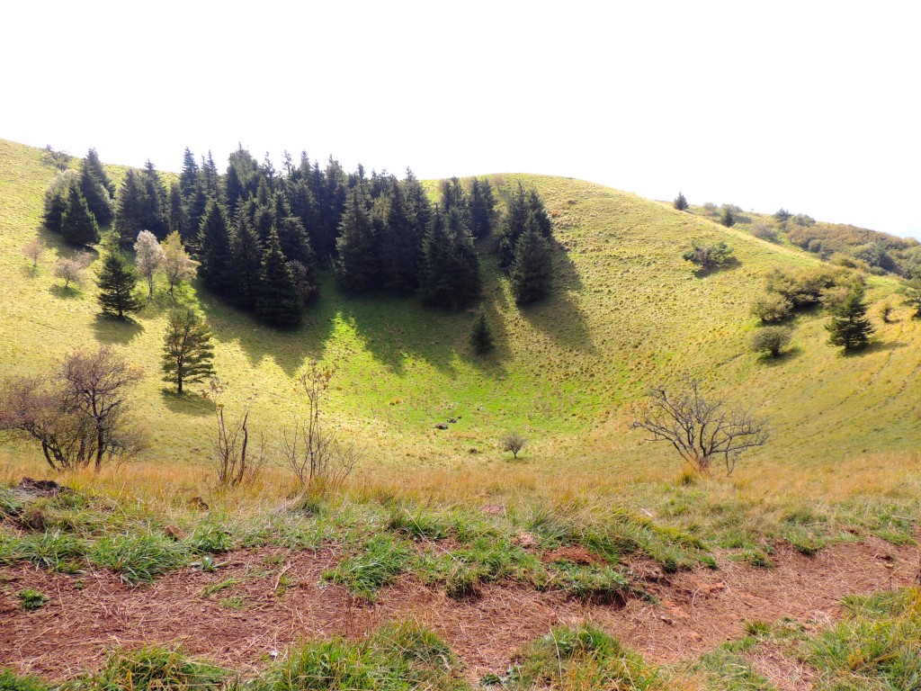 Puy de Côme 19