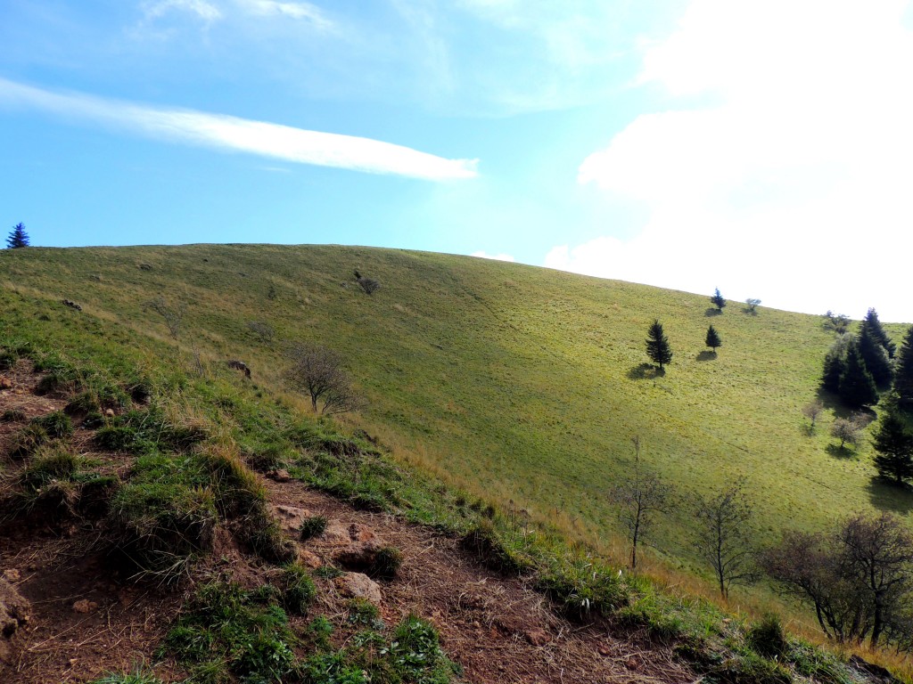 Puy de Côme 20