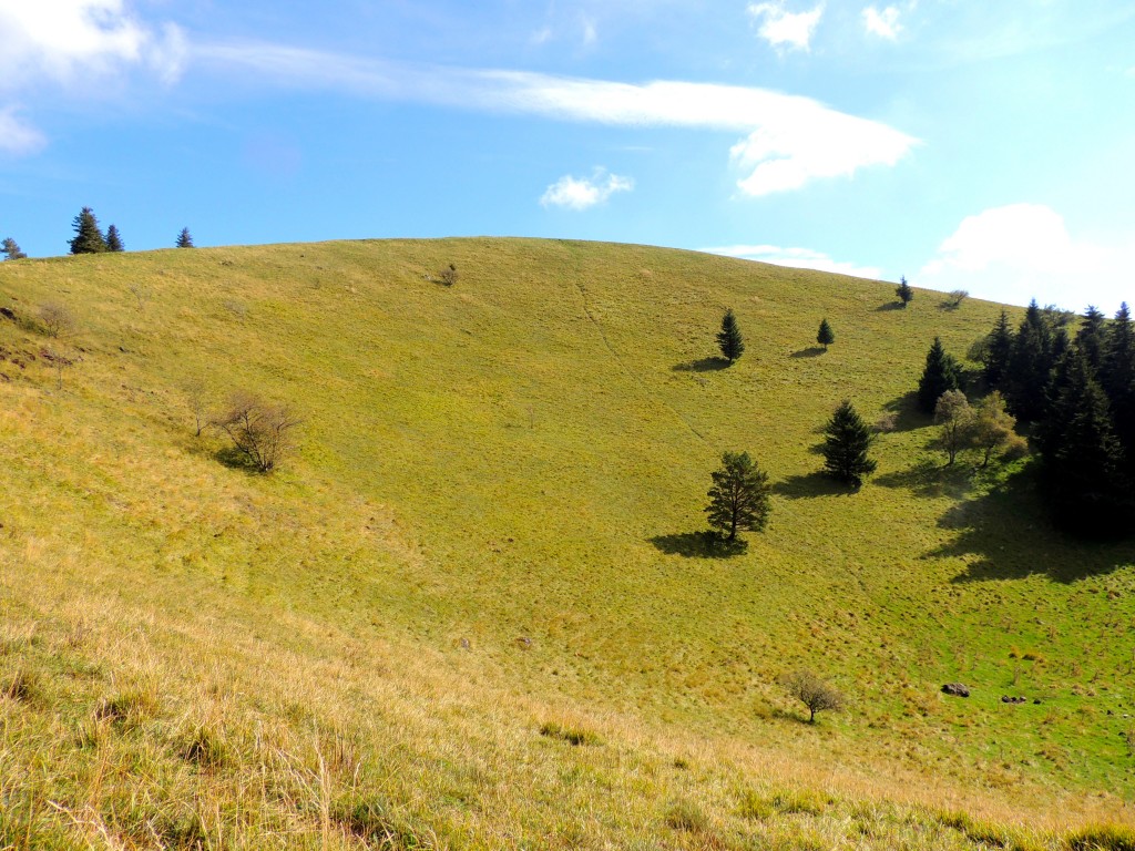 Puy de Côme 21