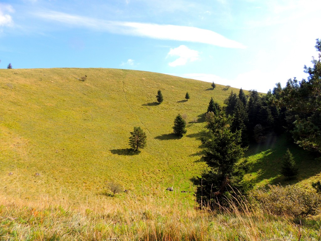 Puy de Côme 22