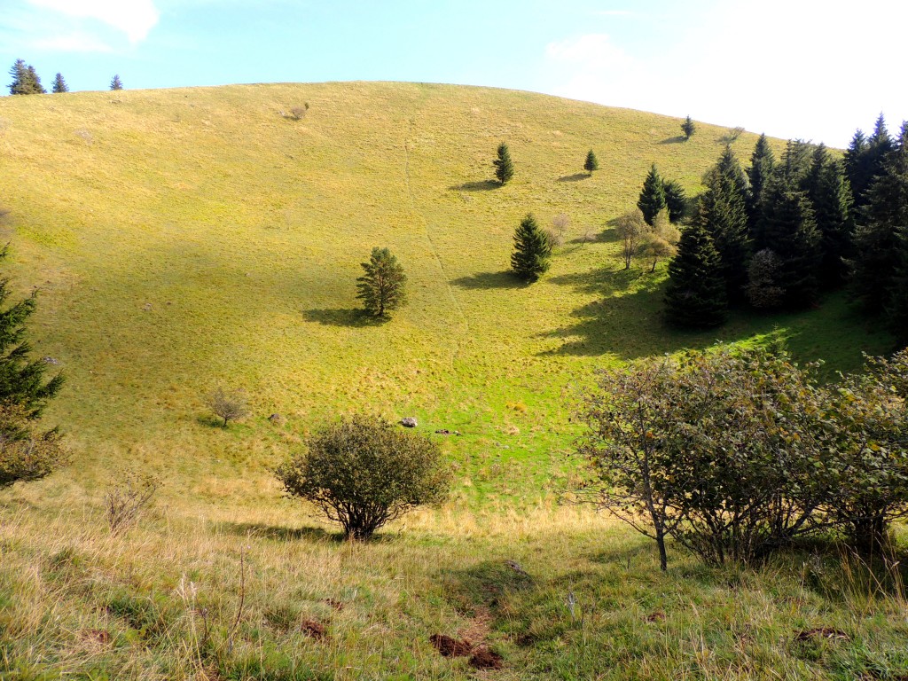 Puy de Côme 23