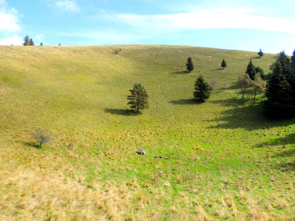 Puy de Côme 26