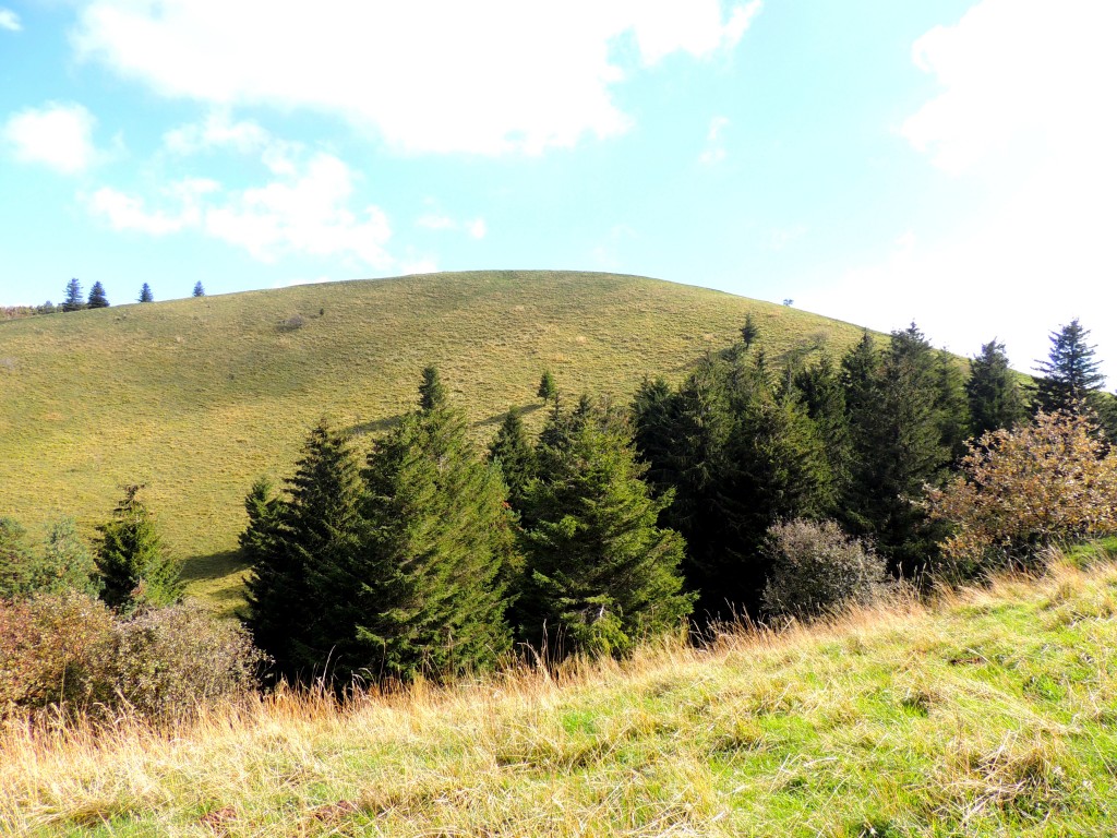 Puy de Côme 5