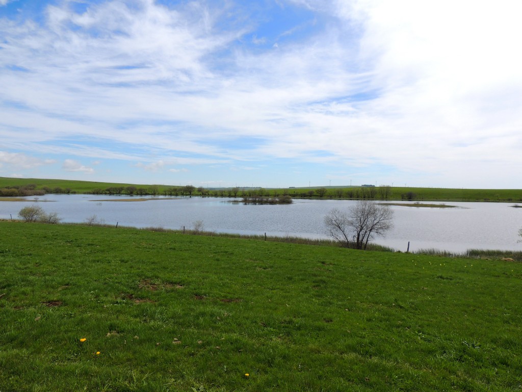 Lac des Bordes - Compains - 13