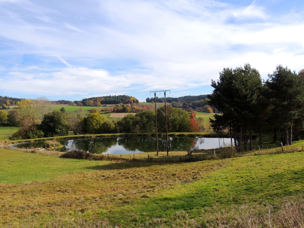 Champagnac-le-Vieux 59