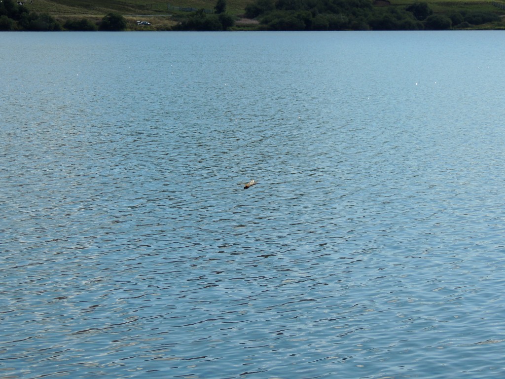 Lac du Guery 9