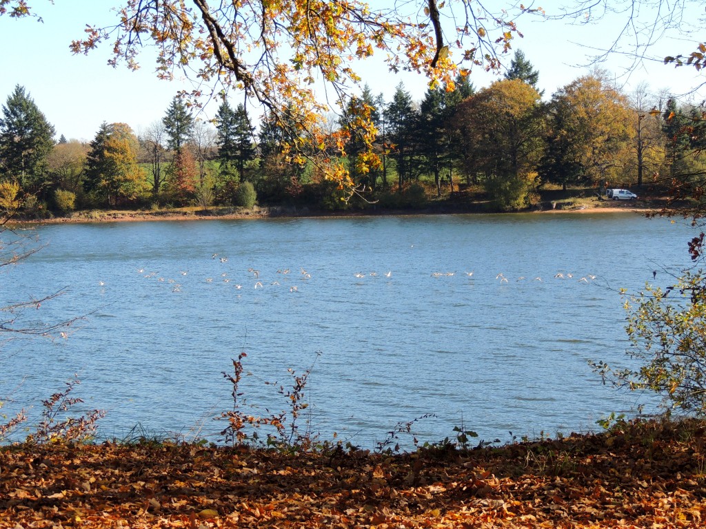 Etang du Pirot 1