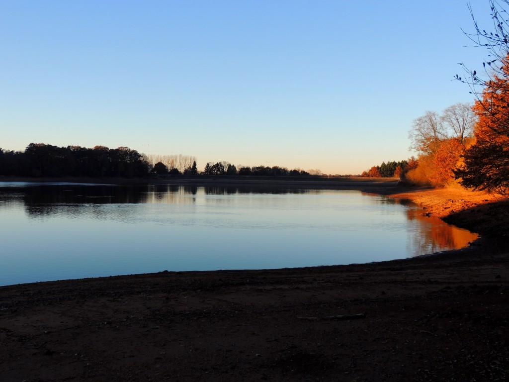 Etang du Pirot 101