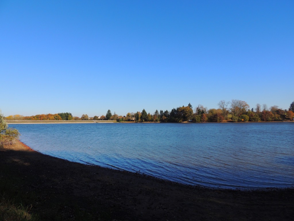 Etang du Pirot 11