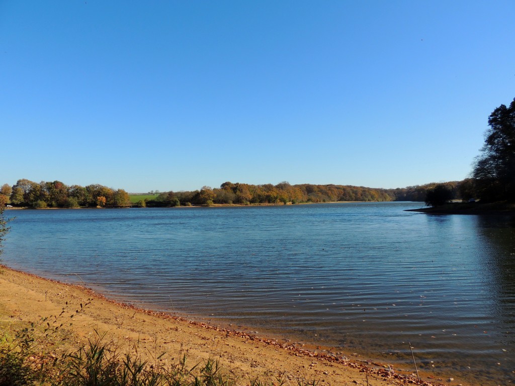 Etang du Pirot 15