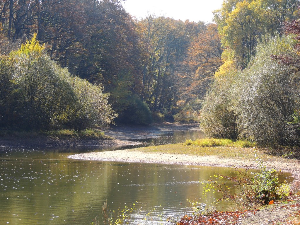 Etang du Pirot 17