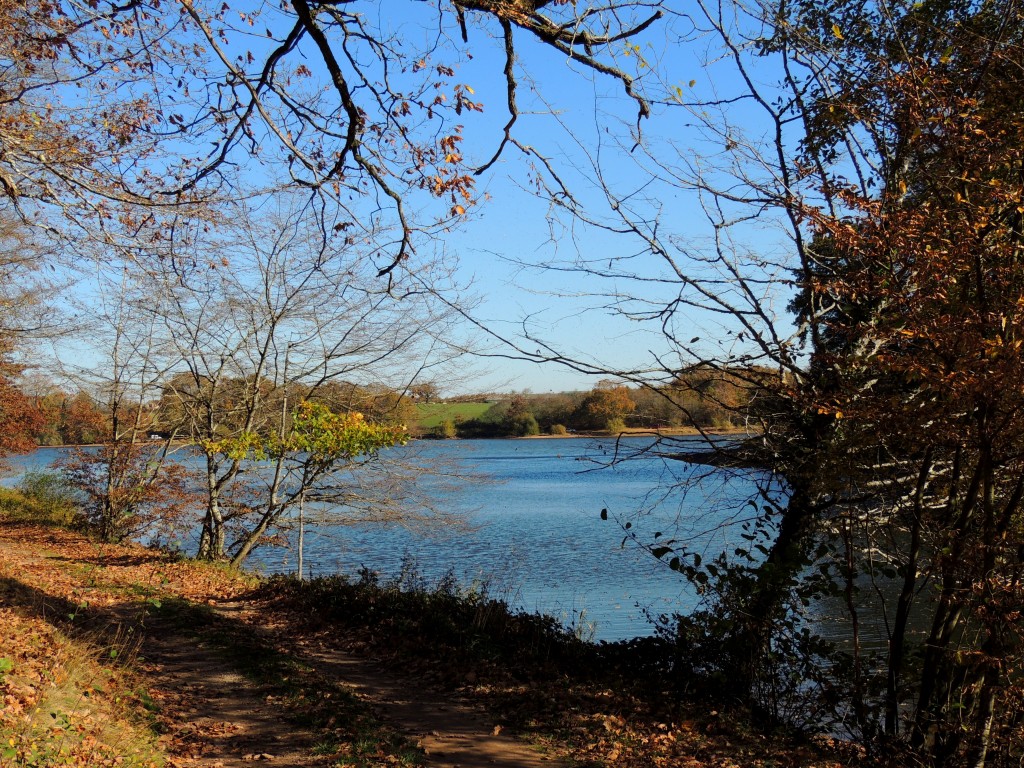 Etang du Pirot 18