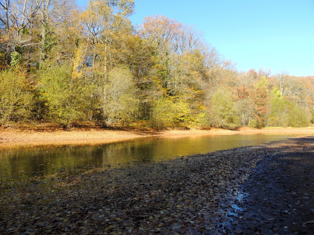 Etang du Pirot 19