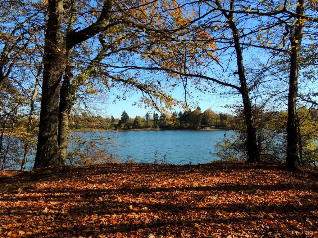 Etang du Pirot 2