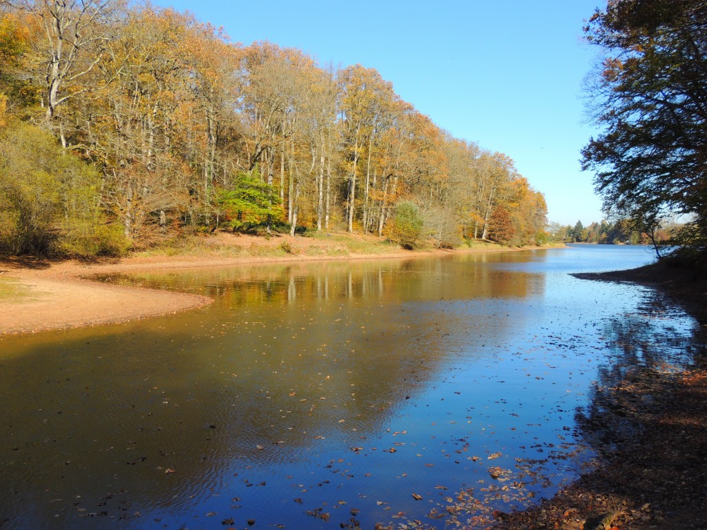 Etang du Pirot 22