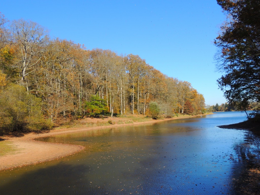 Etang du Pirot 23