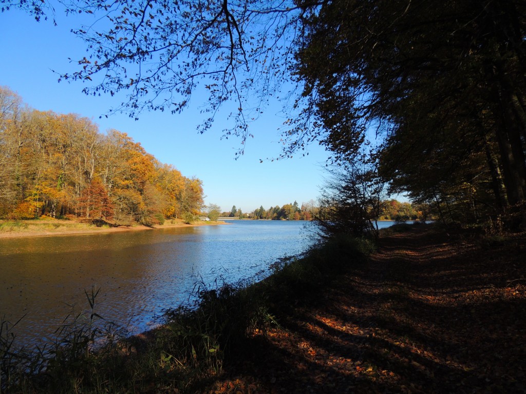 Etang du Pirot 24